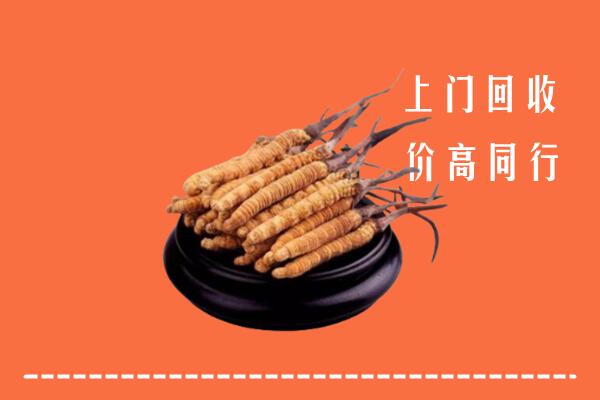 高价求购：甘孜州理塘县回收散虫草