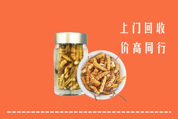 甘孜州理塘县回收冬虫夏草